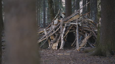 Pan-of-small-hut-built-out-of-different-tree-branches-in-forest
