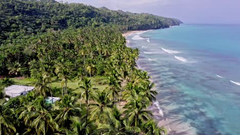 Luxury-seafront-property-amongst-palm-trees-on-idyllic-Caribbean-coast