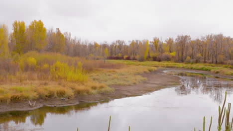 Fall-colors-on-an-overcast-day-over-the-Heise-area-in-Eastern-Idaho