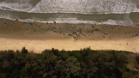 Aerial-birdseye-static-shot-of-destroyed-fishing-net-on-beach-after-Typhoon-Rai