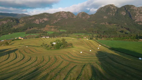 Farmland-With-Windrowed-Grass,-Hay-Bales,-And-Tractor-Working-For-Silage-Production