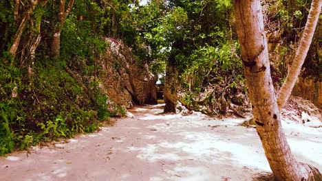Wanderperspektive-Durch-Haitises-Beach-Resort-In-Der-Dominikanischen-Republik