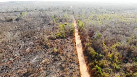 Feldweg-In-Der-Landschaft-Madagaskars.-Drohnen-Luftaufnahme