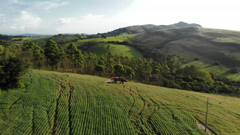 Traktor-Besprüht-Sojabohnenplantage-In-Brasilien