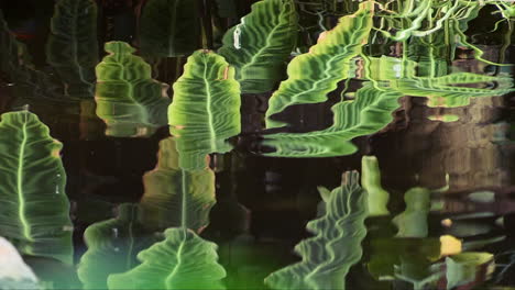Erfreuen-Sie-Sich-An-Der-Fülle-Exotischer-Pflanzen-Und-Ihrem-Spiegelbild-Im-Wasser