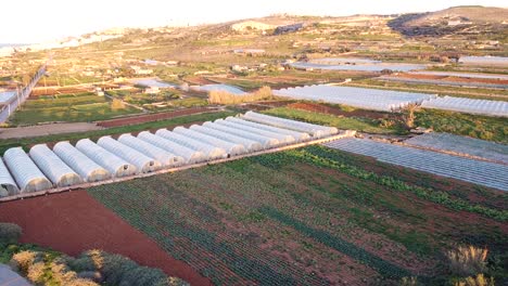 Many-Maltese-industrial-greenhouses-in-farmland-area,-aerial-view,-golden-sunset