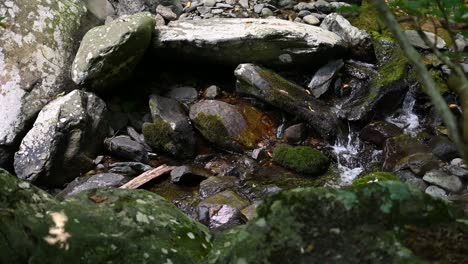 Water-flowing-through-river-rocks-on-a-hike,-Slowmo