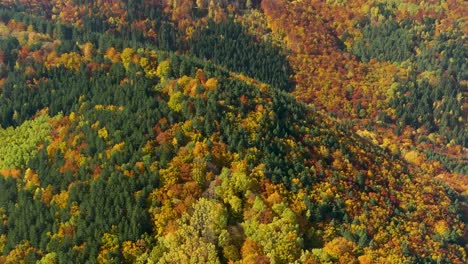 Erstaunlicher-Herbstberg-Mit-Rotem,-Grünem,-Orangefarbenem,-Goldenem-Laub,-Antenne