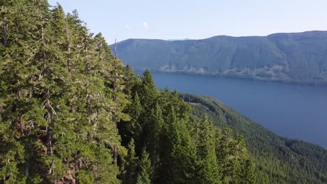 Viejo-Camino-Forestal-A-Través-Del-árbol-Sobre-El-Campamento-De-Boy-Scouts-En-El-Gran-Lago-Central---Montaña-Trueno,-Isla-De-Vancouver,-Bc,-Canadá