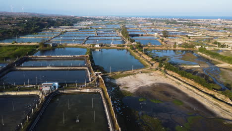 Water-ponds-and-industrial-buildings-for-shrimp-farming-in-Vietnam,-aerial-side-fly-view