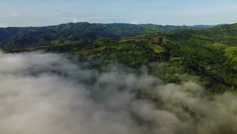 Feuchter-Tropischer-Wald-Und-Nebel-In-Costa-Rica
