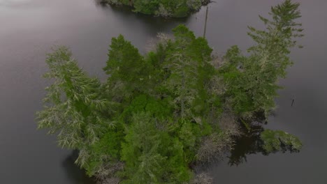 Empire-Lake-in-Coos-Bay,-flying-straight-up-over-trees,-shot-with-a-Mavic-3-drone