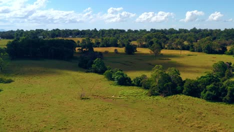 Lush-Green-Field-Landscape-And-Trees-In-Rural-Area-Near-Brisbane-City-In-Queensland,-Australia