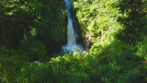 Der-Wunderschöne-Wasserfall,-Umgeben-Von-Einem-Kräuterwald,-Lädt-Uns-Ein,-Uns-Um-Den-Planeten-Zu-Kümmern