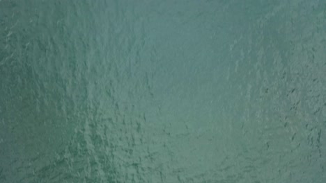 Clean-bluegreen-smooth-sea-surface---Birdseye-top-down-aerial-looking-straight-down-into-clear-liquid-water-from-atlantic-ocean-while-moving-forward