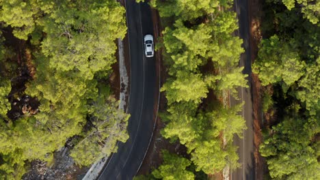Drone-tracking-car-on-twisted-road-through-lush-Turkish-coastal-forest