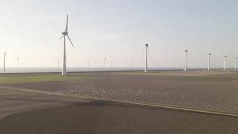 Una-Gran-Bandada-De-Pájaros-Volando-Sobre-Campos-Agrícolas-Con-Turbinas-Eólicas-En-El-Fondo,-Agricultura-En-Holanda