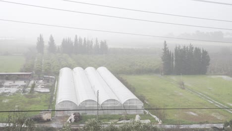 Está-Lloviendo-Sobre-El-Invernadero-Y-Los-Campos-En-Un-Día-De-Niebla