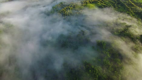 Top-aerial-drone-view-of-green-tropical-forest-and-high-mountains-covered-by-low-condensed-clouds