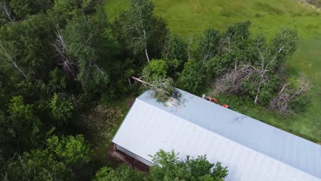 Man-cleaning-up-tree-on-barn-after-storm