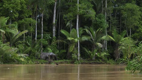 An-Einem-Bewölkten-Tag-Den-Fluss-In-Brasilien-Hinuntertreiben