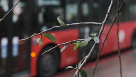 Autobuses-Londinenses-Circulando-Con-Follaje-En-Primer-Plano