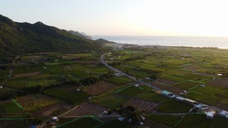 Wunderschöner-Strandsonnenuntergang-Und-Grüne-Felder-Auf-Dem-Land-Von-Nui-Chua,-Vietnam---Luftaufnahme
