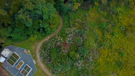Ariel-view-of-a-house-in-the-forest