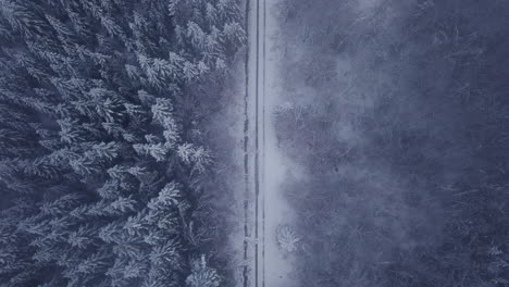 Top-View-Of-Isolated-Road-Covered-With-Snow-In-Lush-Forest