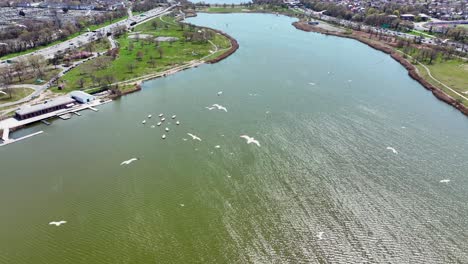 An-aerial-view-high-over-Meadow-Lake-on-a-beautiful-day-in-Queens,-NY