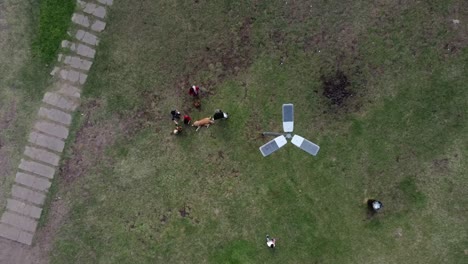 Aerial-view-of-a-family-that-enjoy-with-your-pet-at-the-park