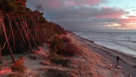 Forest-edge-of-a-dense-forest-colored-red-by-the-setting-sun-on-a-deserted-beach-in-Giruliai-in-Lithuania-on-the-Baltic-Sea-near-Klaipeda