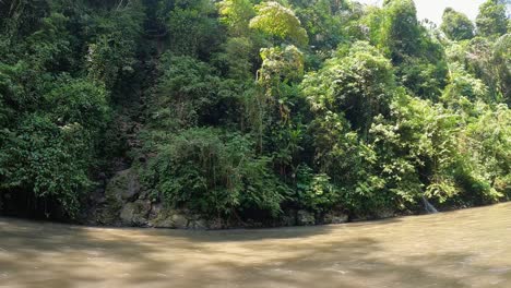 Looking-Across-Flowing-Ayung-River-To-Wall-Of-Hanging-Rainforest-Trees-With-Pan-Right-To-Reveal-Empty-Red-Raft