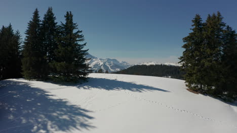 Drohne-Fliegt-über-Schneebedeckten-Hügel-Und-Enthüllt-Ein-Atemberaubendes-Tal-Mit-Grünem-Wald
