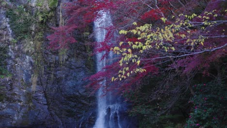 Gelbes-Und-Rotes-Laub-Im-Japanischen-Herbst,-Minoo-Fällt-Im-Hintergrund