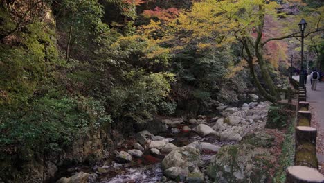 Minoo-River-Water-Flow-in-Minoh-National-Park-Osaka,-Japan