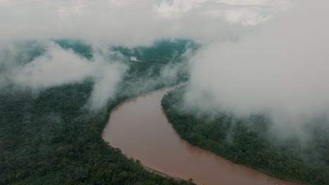 Fluss-Durchschneidet-Tropischen-Regenwald