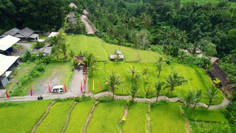 Luftaufnahme-Einer-Touristenattraktion-In-Ubud,-Bali,-Indonesien,-Mit-Wunderschönen-Reisfeldern