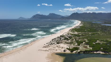 Endless-sandy-beach-and-mountain-range-in-South-Africa,-aerial-view