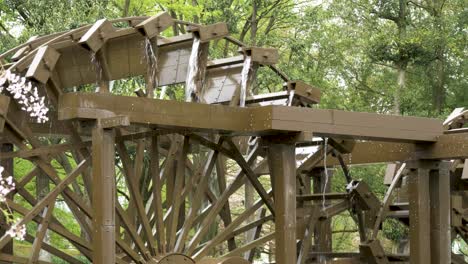 Water-Wheel-Catching-and-Delivering-Water