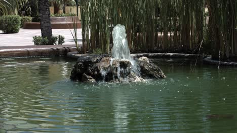 Koi-fish-pond-fountain