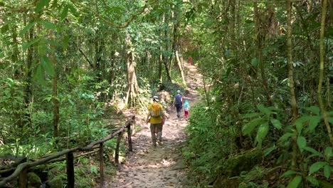 Familie-Mit-Kleinen-Kindern-Wandert-Durch-Den-Thailändischen-Dschungel
