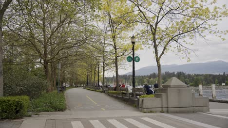 People-walking-in-promenade-near-cyclist-trail-surrounded-by-trees,-Downtown-Vancouver-bay,-British-Columbia,-Canada