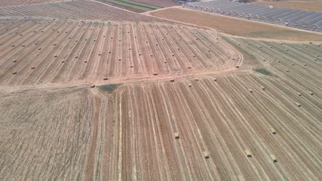 Straw-Field-From-Above-At-Southern-District-of-Israel,-Sdot-Negev