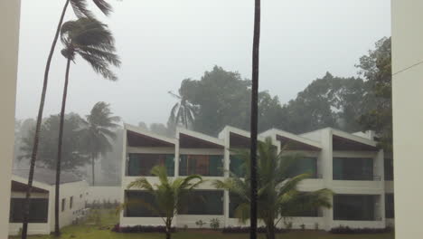 Taifun-Im-Golf-Von-Thailand-Bläst-Die-Palmen-Mit-Starkem-Regen