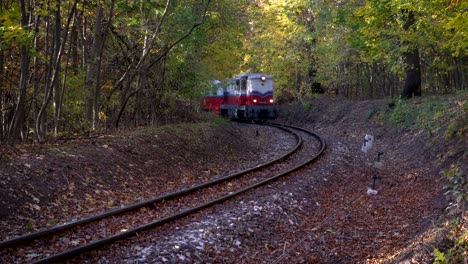 Eisenbahn-Im-Wald-Budapest,-Ungarn