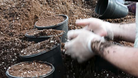 Hand-potting-soil-into-flowerpots-close-up-with-rubber-gloves-on
