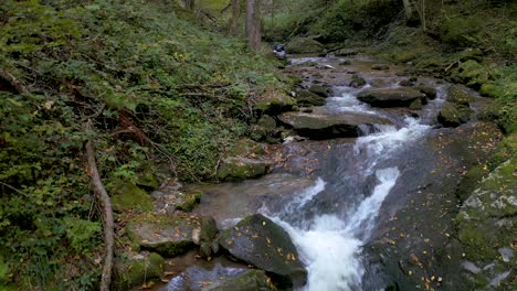 Limpid-creeks-course-through-the-green-forest-at-Bistriski-Vintgar-Slovenia