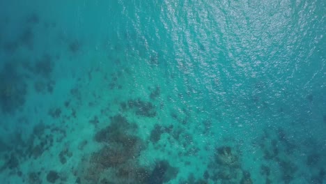 Luftaufnahme-Direkt-Auf-Klarem,-Blauem-Wasser-Und-Korallenriffen-In-Siargao,-Philippinen