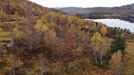 Norwegischer-Herbst-Auf-Dem-Berg